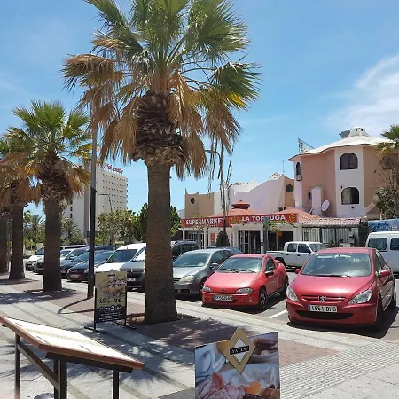 Holidays In Playa De Americas