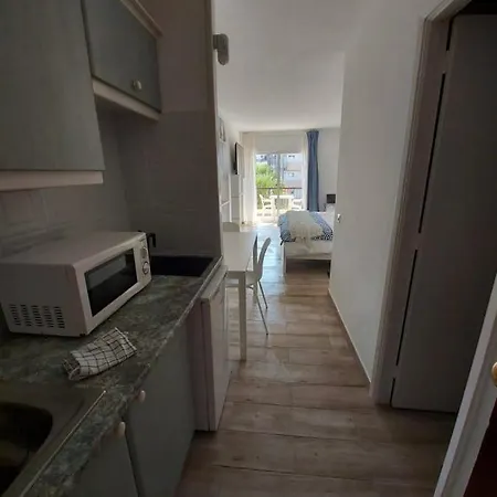 Holidays In Playa De Americas Apartment Arona (Tenerife)