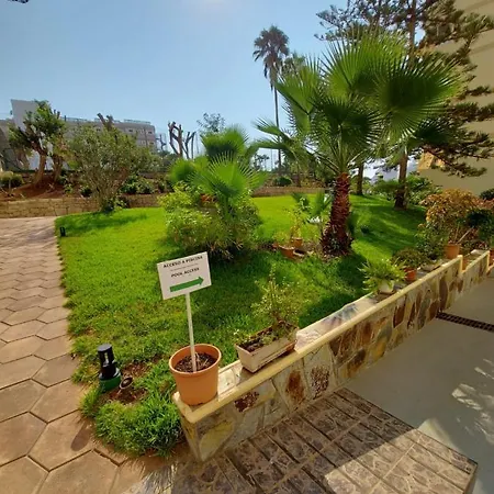 Holidays In Playa De Americas *